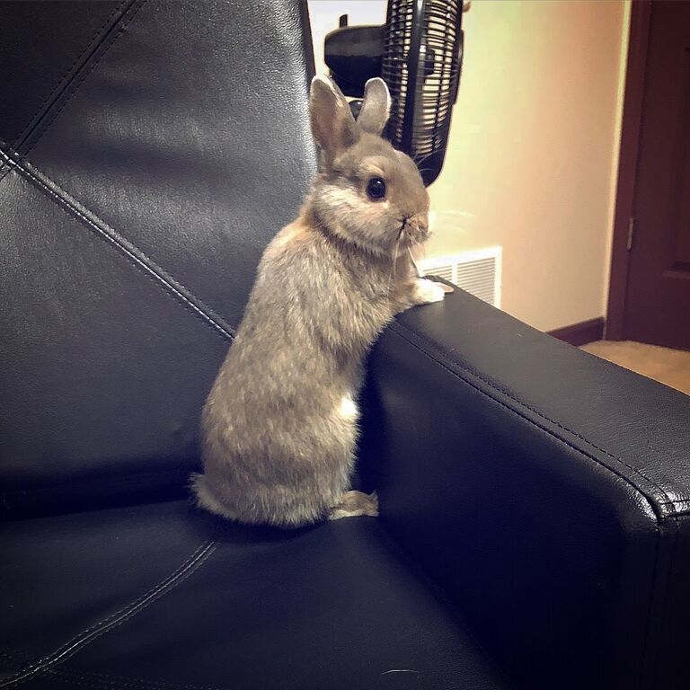 We made an addition to our family!