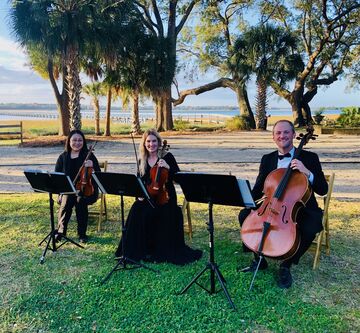 Charleston Elite Musicians - String Quartet - Charleston, SC - Hero Main