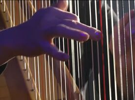 Jill DeGraaf / Harpist / Pianist for your event - Harpist - Grand Rapids, MI - Hero Gallery 3