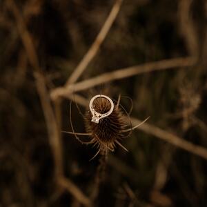Gallery Photo 9