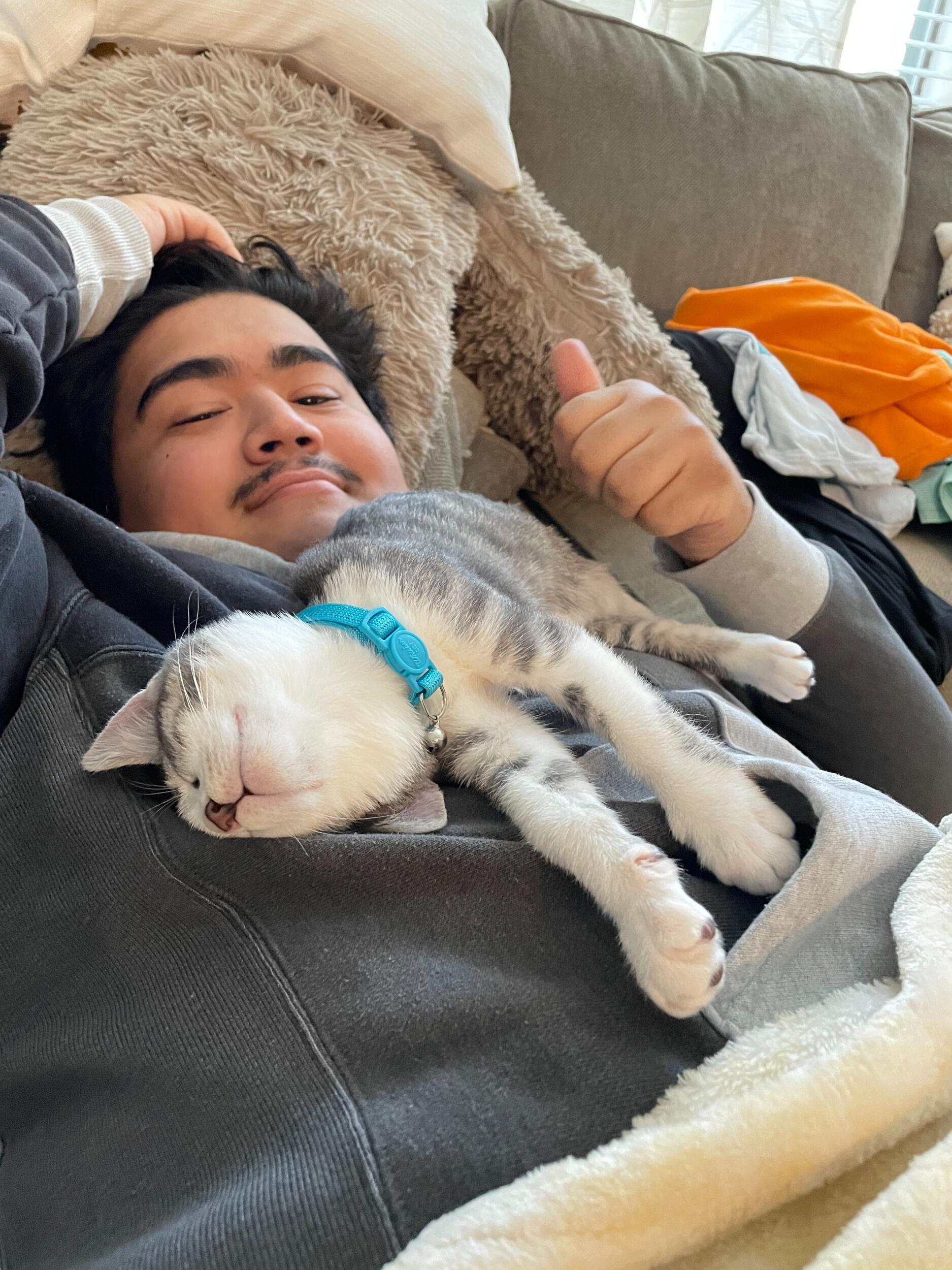 We got a kitten! her name is Josie!