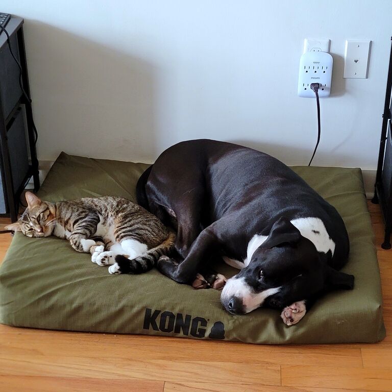 Hanging with the bro's