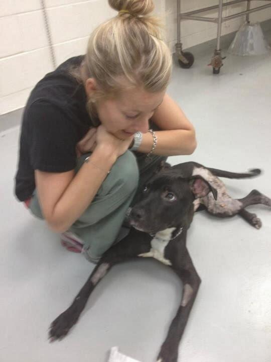 Doing what I love!! - Veterinary Medicine
Toronto Humane Society