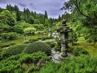 Overview of the beautiful Seattle Japanese Garden