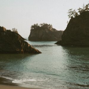 Gallery Photo 12