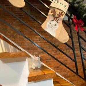 Gallery Photo 30