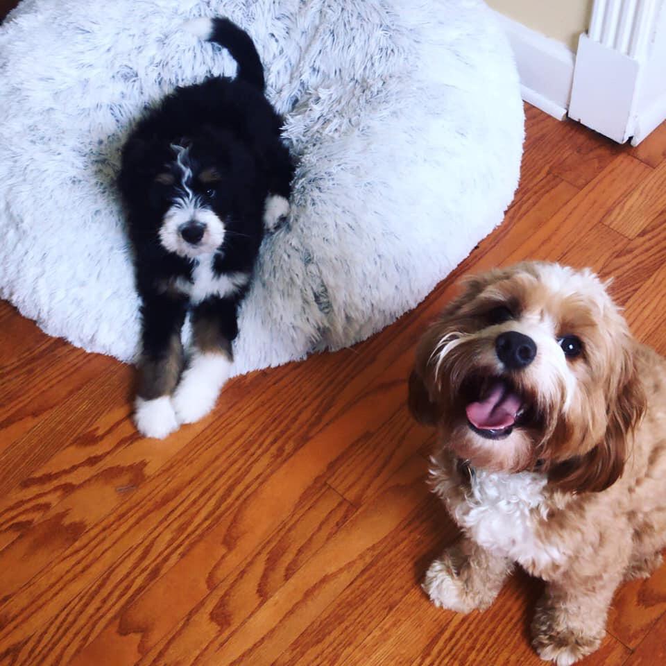 Remi & Dansby's First Play Date