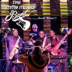 The Tommy Morse Band!!!, profile image