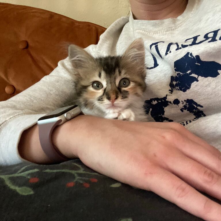 Adopted Penny :)