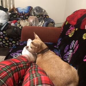 Gallery Photo 26