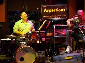 The Aspersions - 60s Band - Rochester, MI - Hero Gallery 3