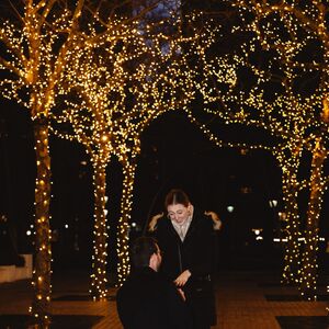Gallery Photo 4