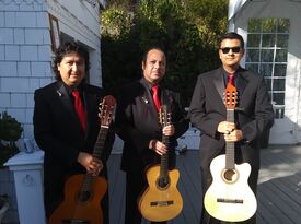 Trio Madrigal (Trio-Mariachi) - Acoustic Band - San Jose, CA - Hero Gallery 1