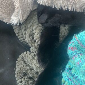 Gallery Photo 56