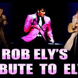 Rob Ely- Sacramento, Bay Area's #1 ALL ERAS Elvis, profile image