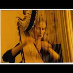 Heather Donovan, harpist and pianist, profile image