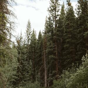 Gallery Photo 9
