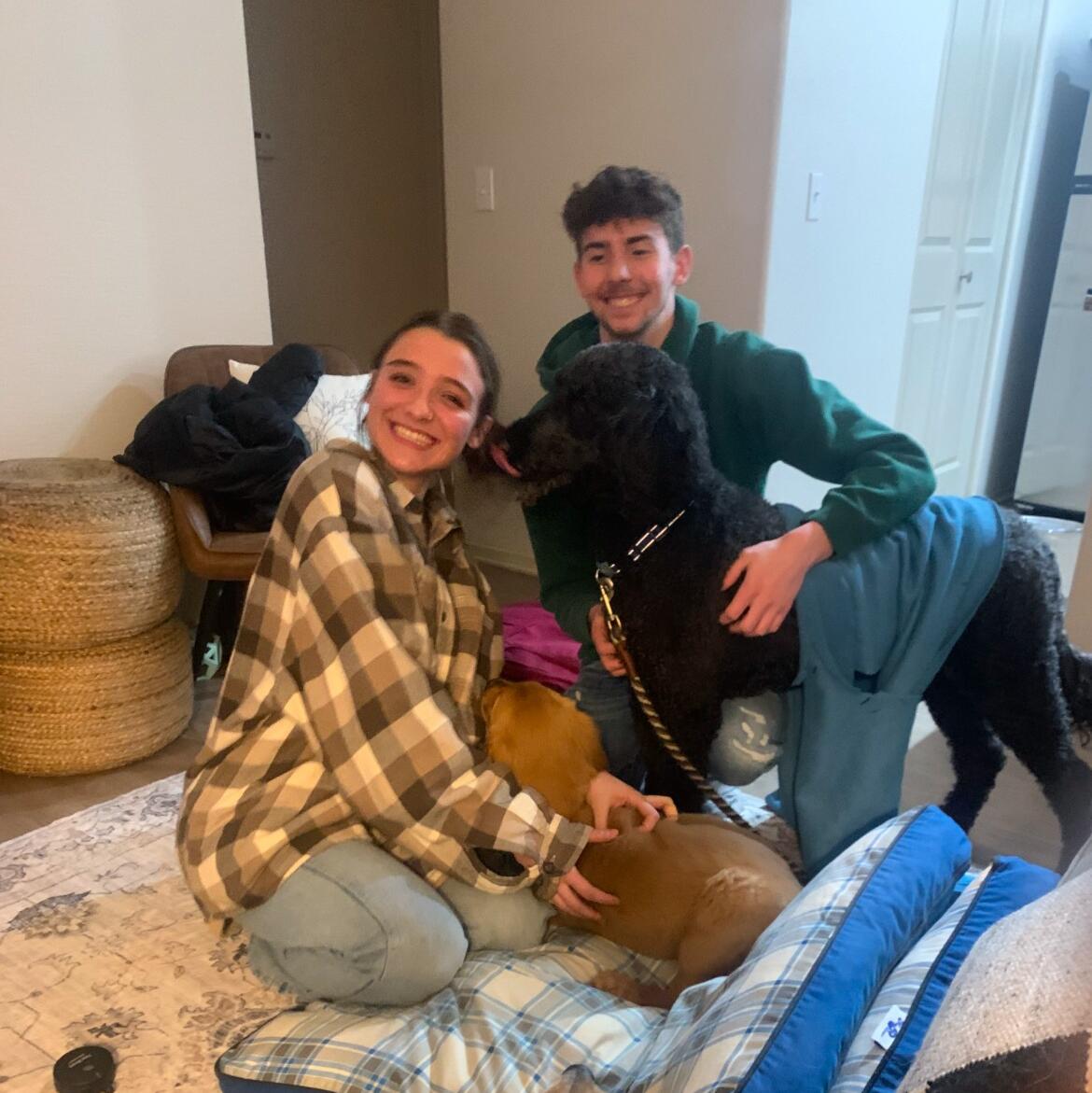 We adopted our poodle, Duff!