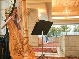 Kimberly Mueller Palazzolo - Harpist - North Liberty, IA - Hero Gallery 3