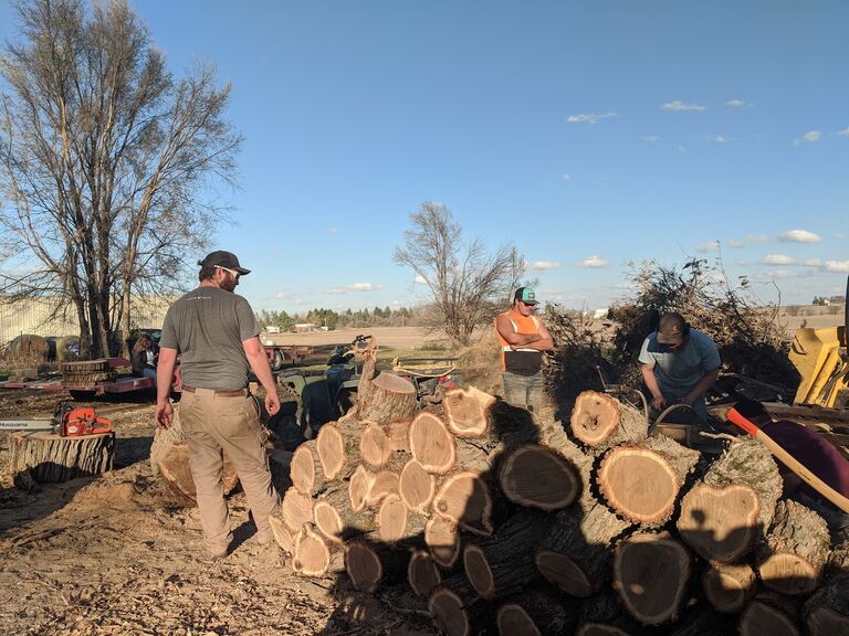 Cutting up some wood with friends