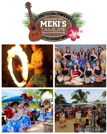 Meki’s Tamure Polynesian Arts Group, Inc. - Hula Dancer - Brooklyn, MD - Hero Main
