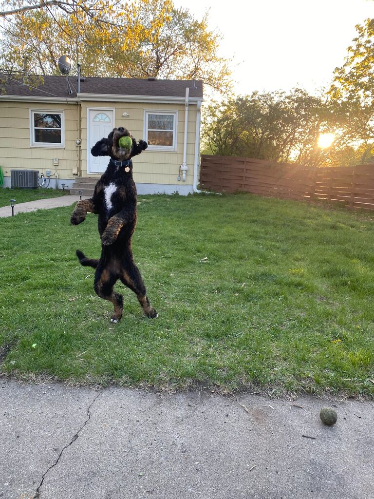 Our first home together in St. Louis Park, MN!