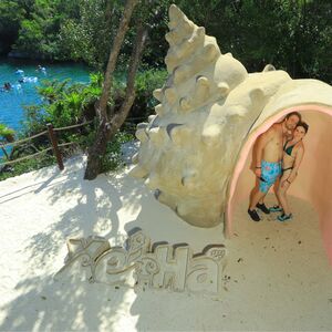 Gallery Photo 10