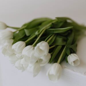 Gallery Photo 13