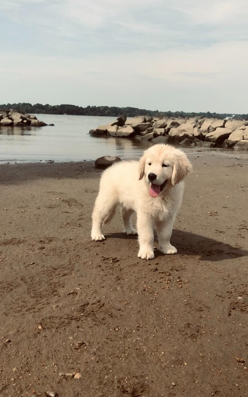 Rory joined the family!