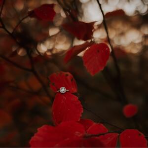 Gallery Photo 11