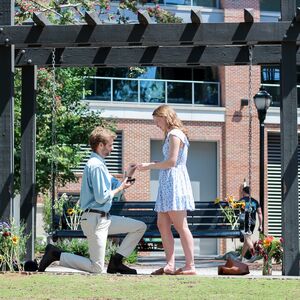 Gallery Photo 9