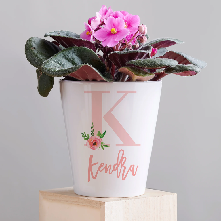 Customized mini flower pot