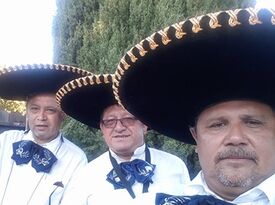 Trio El Mexicano  - Mariachi Band - Napa, CA - Hero Gallery 2