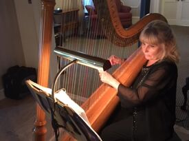 Karen Svanoe Westgate - Harpist - Cleveland, OH - Hero Gallery 1