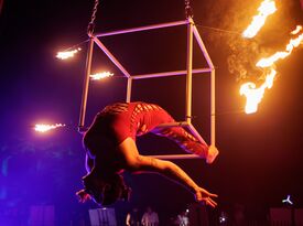 The Dragonflies - Acrobat - Morgantown, WV - Hero Gallery 4