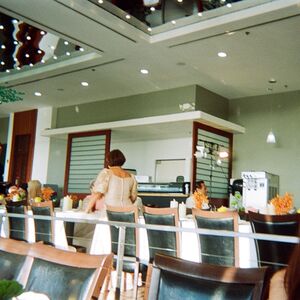 Gallery Photo 112