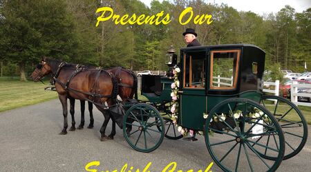 Horse Drawn Carriage Rides MA / Wedding Carriages / Wagon Rides