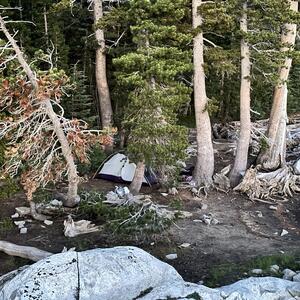 Gallery Photo 48