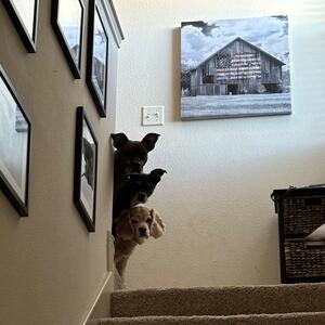 Gallery Photo 19