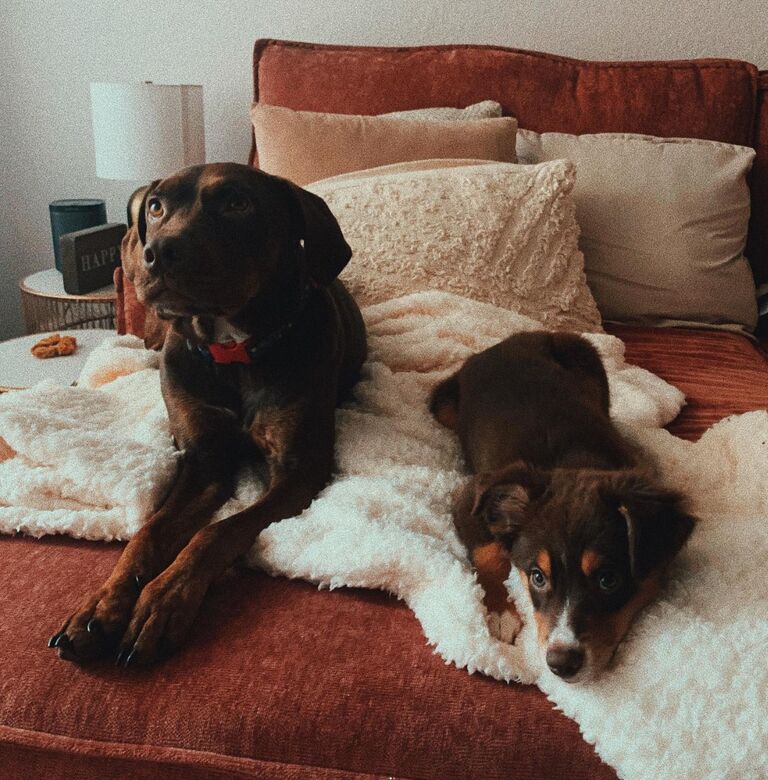 Adopted Phoebe into their family
