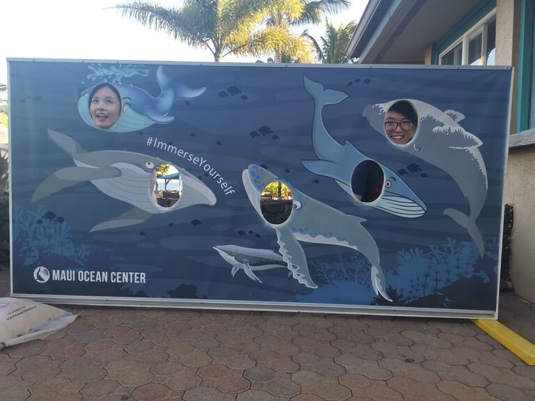 Maui Ocean Centre, Maui, Hawaii