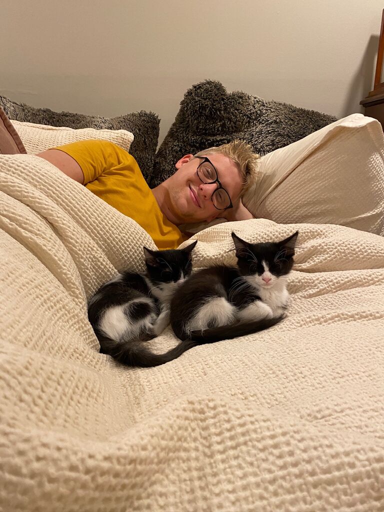 Harley & Ollie join the family!