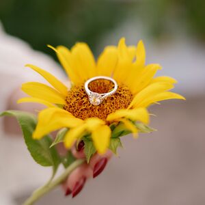 Gallery Photo 34