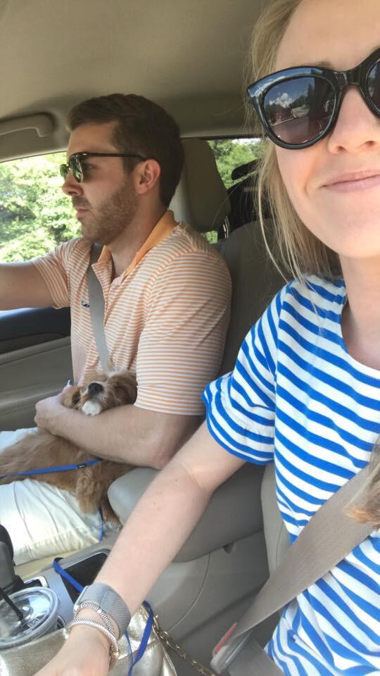 Remington the Cavapoo joined the crew