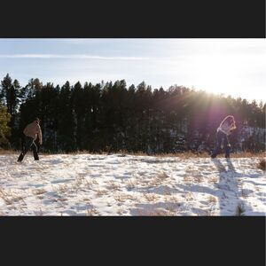 Gallery Photo 44