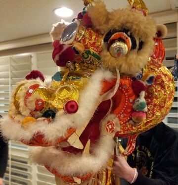 Hawaiian  fire Asian Pacific luau Chinese lion - Hula Dancer - Dallas, TX - Hero Main