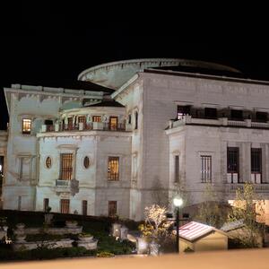 Gallery Photo 183