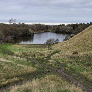 Gallery Photo 327