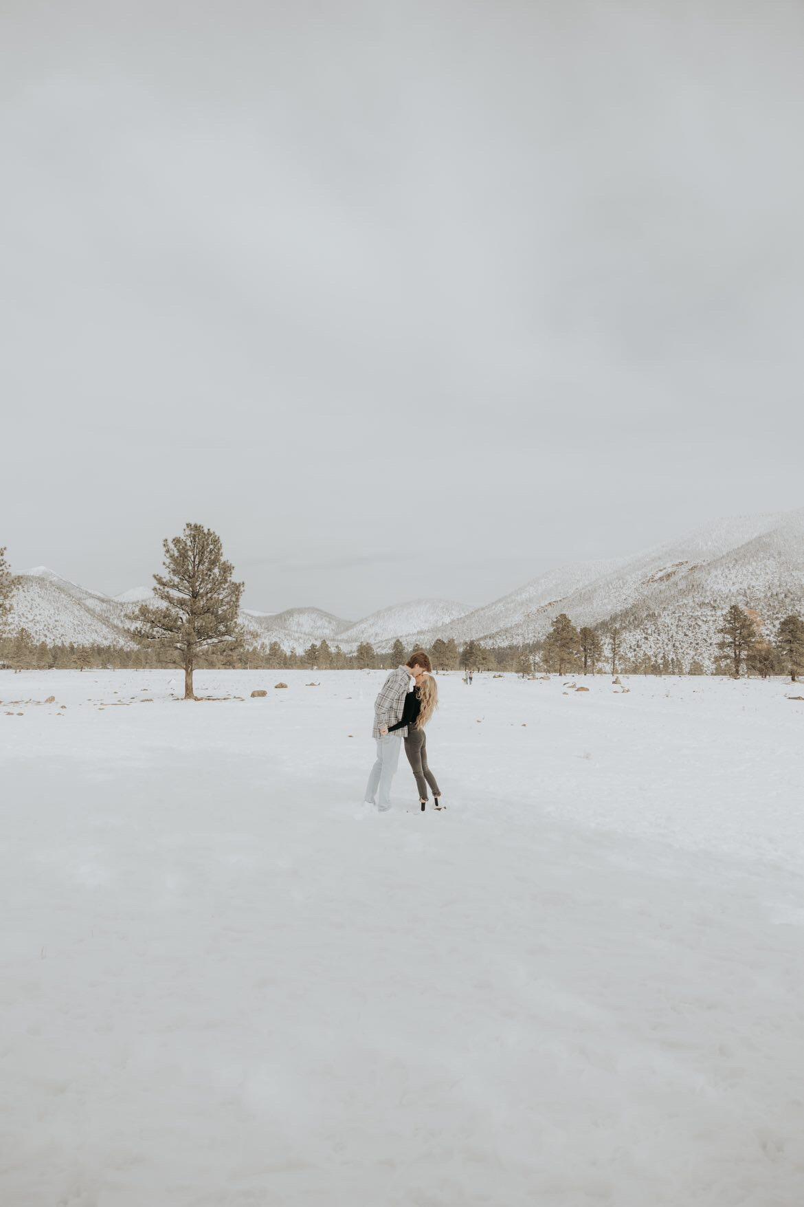 Went through a Flagstaff record breaking snow season.