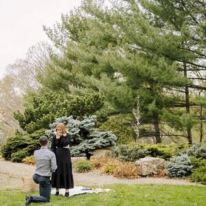 Gallery Photo 7